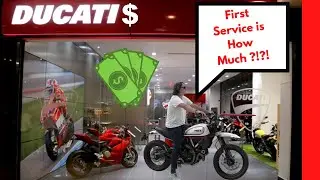 Service Cost on Ducati Scrambler Desert Sled