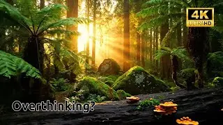 Calm Forest Ambience 🌲 Slow Music, Gentle Wildlife & Mushrooms Growing | Deep Relaxation & Peace