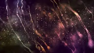 The Zolas - Molotov Girls