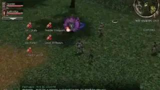 Metin2 duel Iceprodigy  Vs Silvester