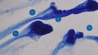 Strawberry Cough - Blue Shampoo (OFFICIAL AUDIO)