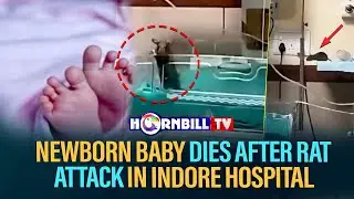 NEWBORN BABY DIES AFTER RAT ATTACK IN INDORE HOSPITAL