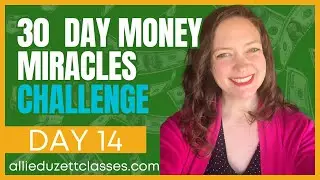 Money Miracles Challenge Day 14