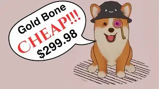 Dog: New NFT Generator
