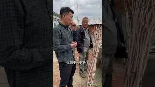 东北农村的幸福生活，在我们东北农村这嘎达，下雨天和饺子更配呢，都爱看我家园子，都快来吧，在不了都快霸园了！#记录我的农村生活 #东北农村人的日常 #三农 #旧房改造 #记录真实生活 @抖音小