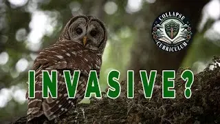 Questioning the Invasive Species Narrative