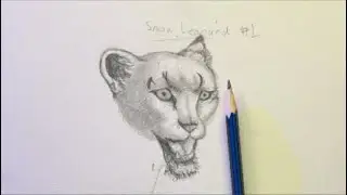 Sketchbook Practice Pt 2 - Drawing Snow Leopards
