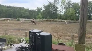 Fun show pole bending fail. #cowgirls #turning #failed #2025  #QuarterHorse 