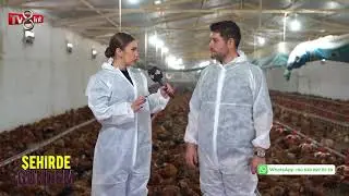 Gezen Tavuk Üretim Tesisi - Koçoğlu Tavukçuluk & Kümes Ekipmanları
