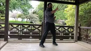 wing chun: sil lum tao 1st section