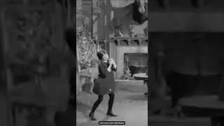 #wednesday dance Domino by NAWR