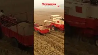 DASMESH 9100 combine harvester 💖#dasmesh #combine #harvestar #trandingshorts