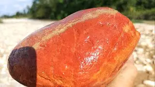 Menemukan Batu Red Jasper yang Berbeda | Rockhounding di dalam Sungai
