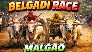 बैलगाड़ी दौड़ मलगांव 2026 l Full vlog l