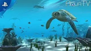 Aqua TV - Official Trailer | PS4