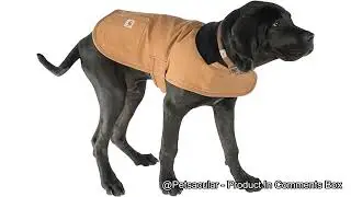 Carhartt Firm Duck Insulated Dog Chore Coat Review: Worth the Investment?