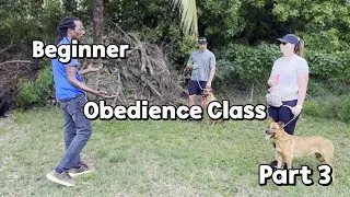 Beginner Obedience Class Part 3/6:  How to STOP Leash Pulling