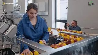Cum arată Colegiul Tehnic Agricol din Svetl&icirc;i după investițiile Livada Moldovei