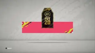 FIFA 20 FLASH SBC