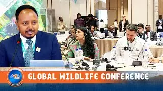 ETHIOPIA HOSTS GLOBAL WILDLIFE CONFERENCE FOCUSING ON THE CONSERVATION OF WILDLIFE