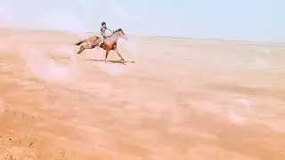 race pavan pati