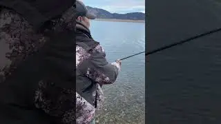 I Already Miss The Open Water At Eleven Mile Reservoir In Lake George, Colorado: #fishing #shorts