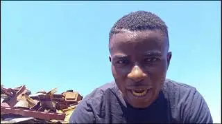 T' Virus - Facts (Official Music Video)