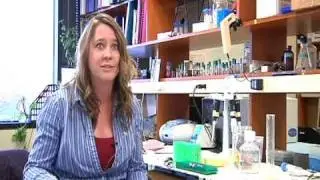Scorpion Venom may Cure Heart Disease