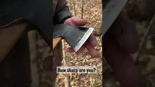 How to Sharpen an Axe (Easy) #shorts #gear #tools #sharpie