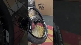 The most popular bmx racing wheels onyx race hubs to sum envy&rsquo;s with tioga bmx tires #bmx #bmxracing