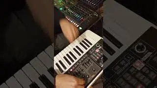 Fat GAIA SH-01 and noisy TR-8S 👾🕹️🎛️🎚️