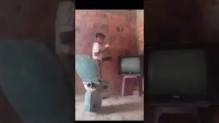 Смешные видео