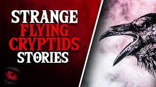 STRANGE FLYING CREATURES - 3 WEIRD FLYING CRYPTID SIGHTINGS - What Lurks Beneath