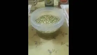 Chicken Soup  Garama garam soup #shortvideo #food #viralvideo  moona zafar mixplate