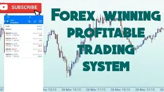 Forex winning profitable trading system | Forex live trading