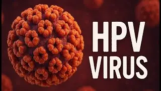 Human Papillomavirus (HPV) - Everything you Need to Know
