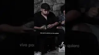 YANESITA 