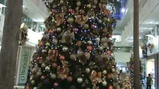 bebe shopp mikaelly