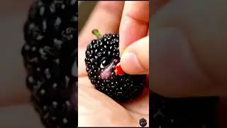 Cute baby fruit 🍓#viral #shorts #satisfyling