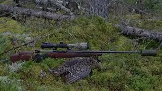 Sako 7mm Rem Mag