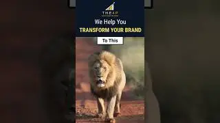From a Cub to a King! 👑🚀 Transform Your Brand with The 4P Agency! | #The4PAgency