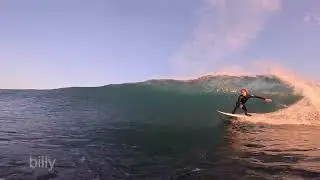golden funnels