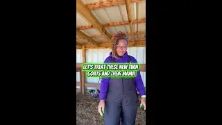 Let's treat these new twin goats and their Mama #AmenSomebody