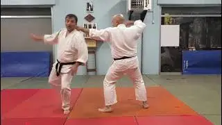Daito Ryu Aikijujutsu ASD Shiseikan Europe