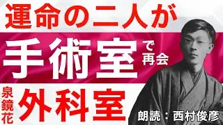 【朗読・解説】手術室で再会する運命の二人・泉鏡花『外科室』語り：西村俊彦【文語体の美が美しく咲く】