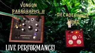 TRIAD Drone Synth Live Performance (feat. Vongon Paragraphs II)