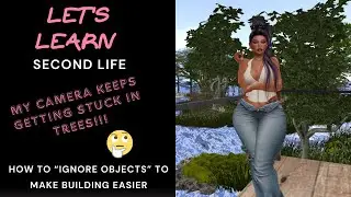 ✏️ Let's Learn | Second Life | How to Keep Your Camera From Getting Stuck on Things! ✏️