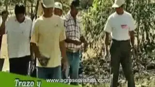 2-a) Selección del Terreno, Trazo y Marcación de Hoyos, Distanciamientos