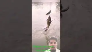 Rahu machhi pakdane jana hai kitni badi machhali ki #fishingtips #fish #fishing