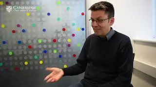 Interview with Editor in Chief of Quantitative Plant Biology
